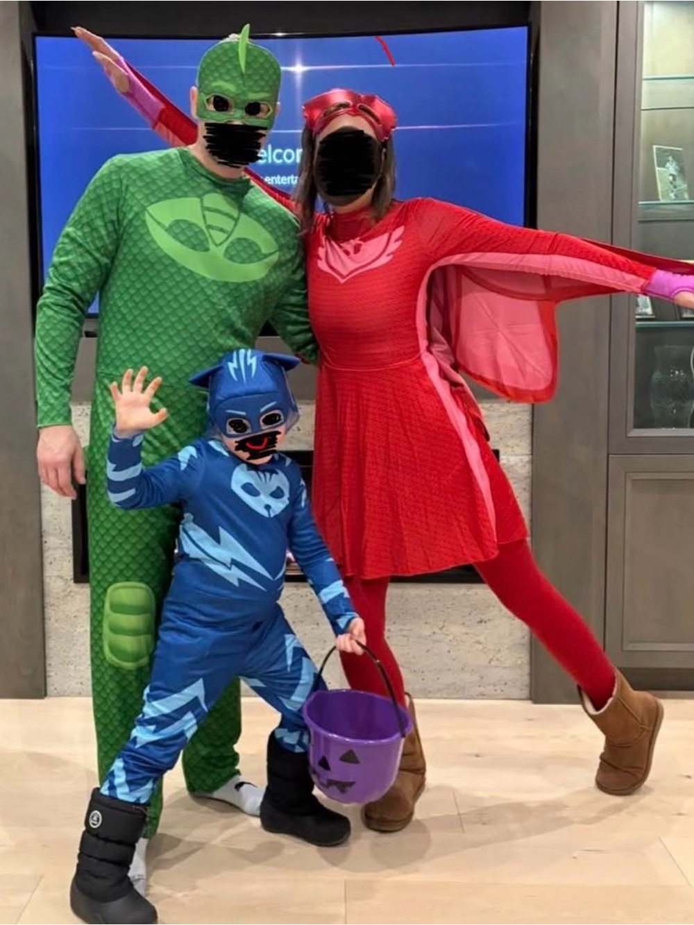 PJ Masks Family Costumes